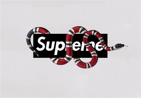 gucci surpreme